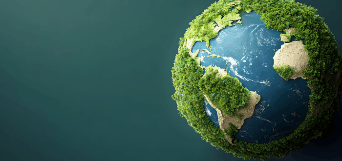 Projekt Zukunft Wald